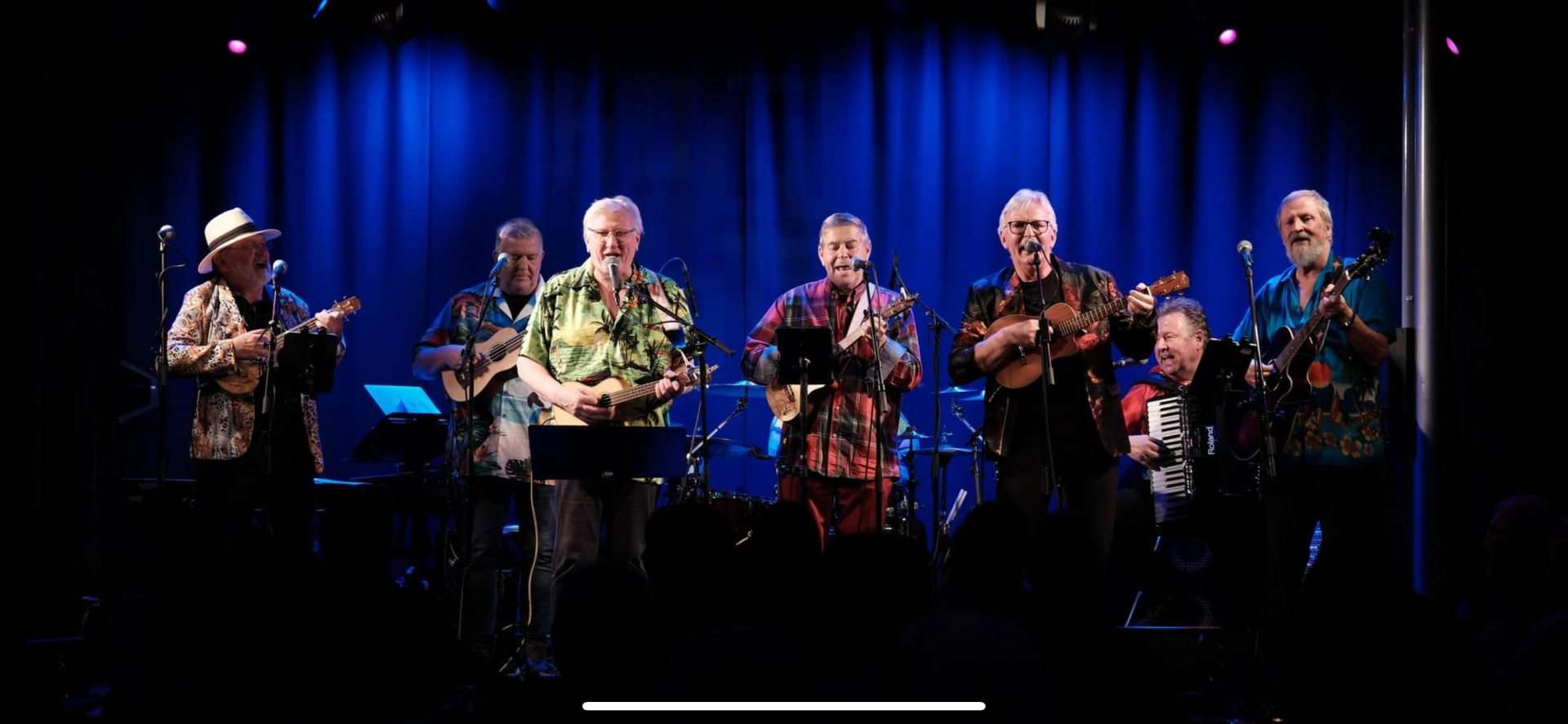 Østre Vestrum Ukulelelag